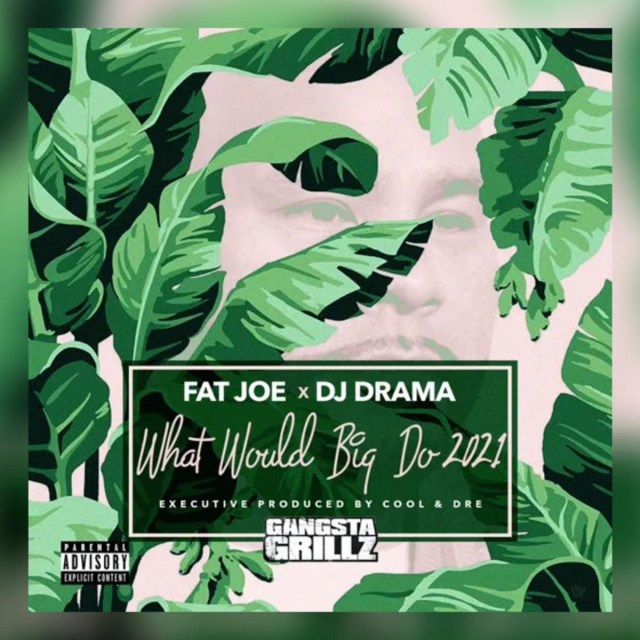 Fat Joe DJ Drama Would Would Big Do 2021