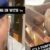 Concern For Justin Bieber After Facetime With Lil Wayne