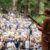 We Outside: The Enduring Magic of Stern Grove Festival 2026